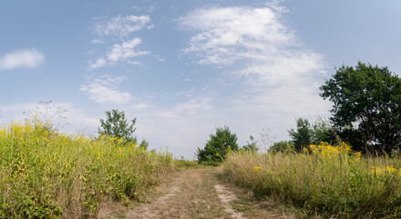 Fototapeta na wymiar Ścieżka w krajobrazie wiejskim idąca przez obszary polne, drzewa w tle pora letnia pochmurna pogoda