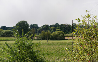 Fototapeta na wymiar linia elektryczna idąca przez pole, obszar wiejski, pochmurne niebo