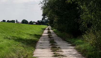 Fototapeta na wymiar Ścieżka w krajobrazie wiejskim idąca przez obszary porośnięte trawami i lasem, drzewa w tle pora letnia pochmurna pogoda