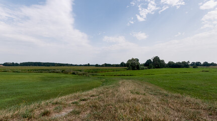Fototapeta na wymiar Panorama pola w obszarze wiejskim w porze letniej, lekko pochmurna pogoda a w oddali drzewa