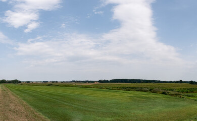 panorama pola w krajobrazie wiejskim, obszary porośnięte trawami, drzewa w tle pora letnia lekko pochmurna pogoda