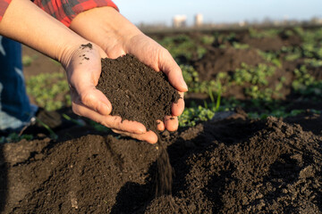 Agronomist checks the fertility of the soil. Agriculture concept. Expert Farmer checks the soil...