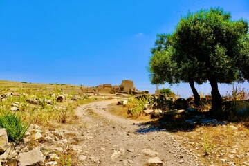 R&ouml;mische Stadt Dougga in Tunesien 