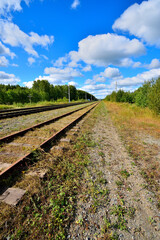 Railway tracks stretching into the distance on a summer day