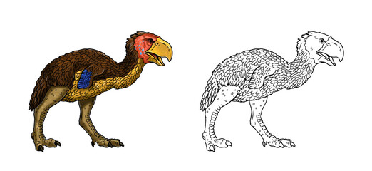 Prehistoric birds of prey - gastornis. Drawing with extinct predators terror birds. Coloring book.