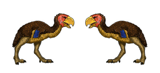 Prehistoric birds of prey - gastornis. Drawing with extinct predators terror birds. Coloring book.