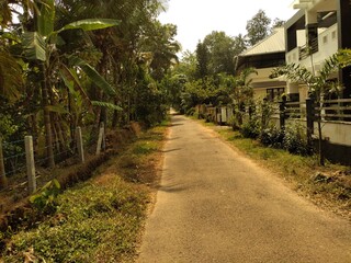road in the village