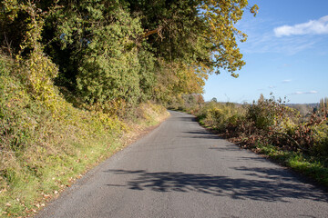 Fototapeta na wymiar Autumn down the countryside lane.
