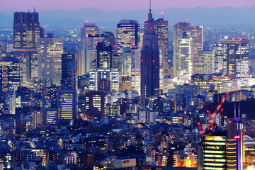 Metropolis, Tokyo, Civilization