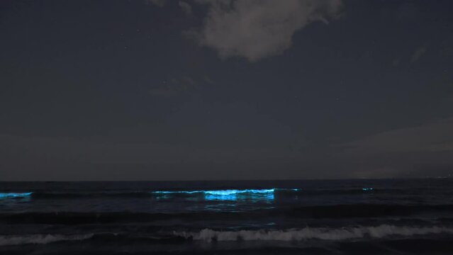 湘南茅ヶ崎の海岸に打ち寄せる青く光る波（波音付）