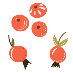 doodle berries in flat style isolated, vector