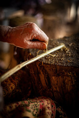 Raspa&ccedil;&atilde;o do Jagube, Medicina da Floresta Santo Daime, Ayahuasca