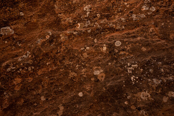 Sand Stone Covered In Lichen Spots Texture