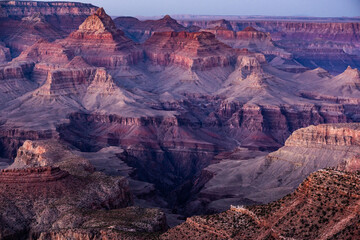 Soft Evening Light Over the Inside of the Grand Canyon