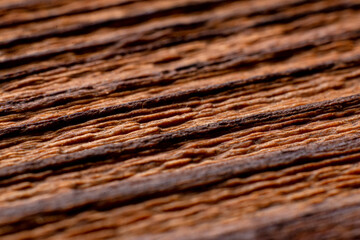 Fototapeta premium Texture of old wood close-up. Can be used as a background.
