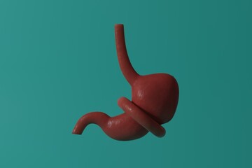 Diet, food restriction concept. Constricted stomach. Human anatomy. 3D render.