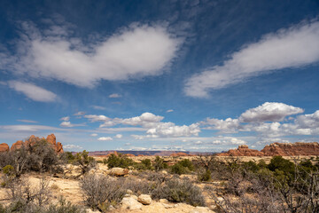 Sweeping View of Puffy Clouds Over The Needles