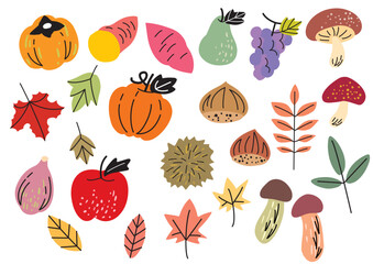 シンプル、おしゃれな秋の野菜果物のイラスト素材セット
