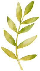 Tropical Leaf  watercolor style for Decorative Element