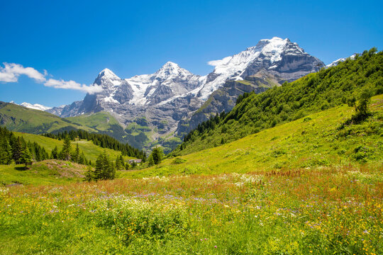 The panorma of Bernese alps with the Jungfrau, Monch and Eiger peaks.