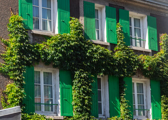 Windows with green blinds covered by ivy in Paris
