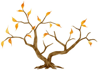 Autumn Tree with Yellow leaves watercolor illustration for Decorative Element