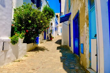 Fototapeta na wymiar Sidi Bou Said in Tunesien unglaublich schöne Straße 