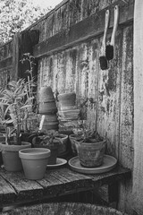 The beautiful old Danish greenhouse