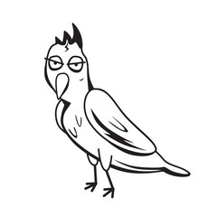 Cartoon Great Myna bird isolated on white background. Acridotheres grandis