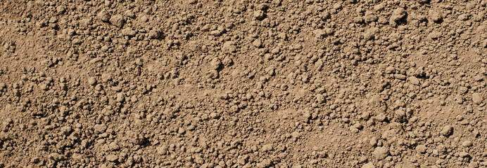 Fertile soil for planting garden plants. Summer, gardening season