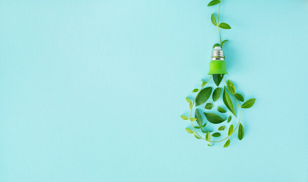 Eco lightbulb from green leaves top view. Renewable and saving energy concept. Ecology and environment sustainable resources conservation.