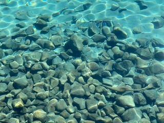 Rocks in Clear Water