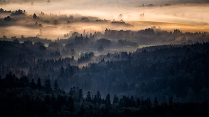 Morning landscape of the San River valley on the border between Poland and Ukraine.