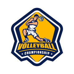 Fototapeta na wymiar volleyball logo