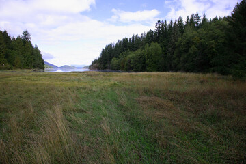 Küstenregenwald - Sunshine Coast - Kanada / Coastal Rainforest - Sunshine Coast - Canada /