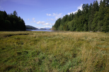 Küstenregenwald - Sunshine Coast - Kanada / Coastal Rainforest - Sunshine Coast - Canada /