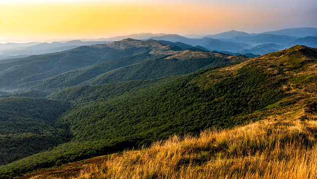 Bukowska mountain meadow, Bieszczady National Park, Poland.
