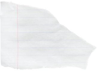 a scrap of a sheet of a striped notebook