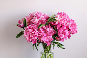 Pink peonies as a natural floral background.