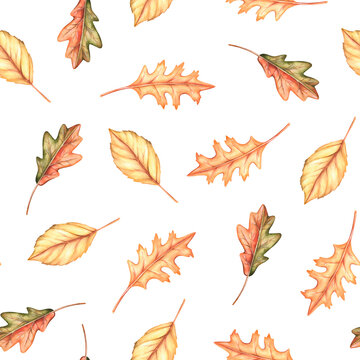 Autumn leaf seamless pattern. Watercolor vintage illustration. Isolated on a white background.