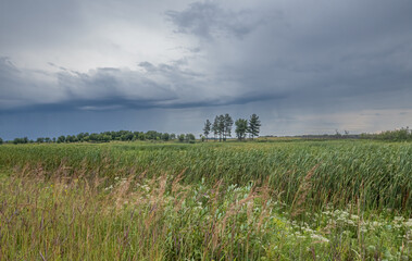scenic landscape of stormy rain clouds over green prairie on a summer day