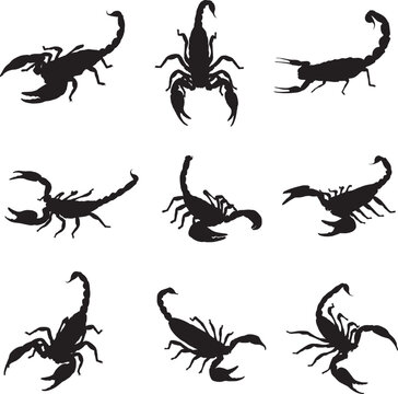 scorpion silhouette