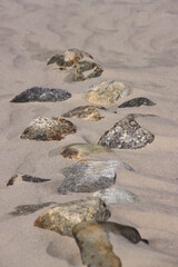 Fototapeta na wymiar pebbles lie on the beach and are blown in by the wind with sand