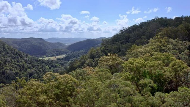 Kondalilla Park Rainforest aerial view of valley and forest canopy. Australia