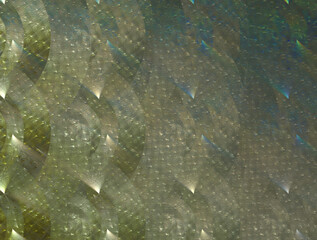 Imaginatory fractal abstract background Image