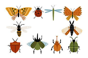 Collection of forest insects drawn in flat style. Butterflies, beetles, dragonflies. The wild nature.