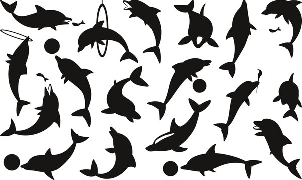 Blue cute dolphin isolated Vector Silhouettes