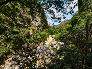Saderne zona de puzas