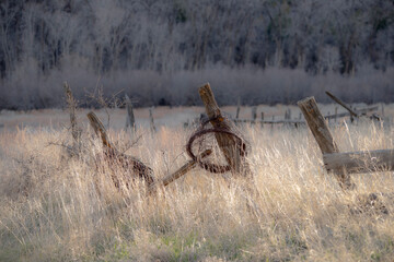 Barbed Wire on fence
