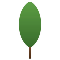 Tree or plant, woods plant and trees.